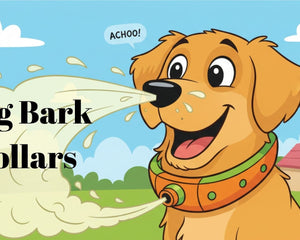 Bark Collars - Dogtraining101 Retail Dog Super Store