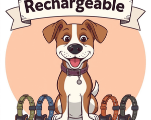 Bark - Rechargeable (Sound Vibrate Static) - Dogtraining101 Retail Dog Super Store
