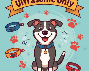 Bark - Ultrasonic - Dogtraining101 Retail Dog Super Store