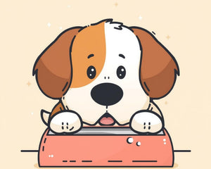 Bowl - Non Circular - Dogtraining101 Retail Dog Super Store