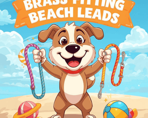 Brass Fitting Beach Leads - Dogtraining101 Retail Dog Super Store