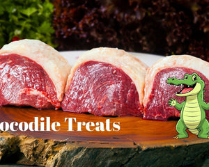 Crocodile Treats - Dogtraining101 Retail Dog Super Store