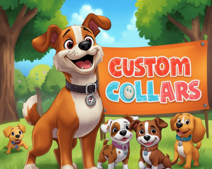 Custom Collars - Dogtraining101 Retail Dog Super Store