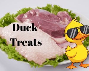 Duck Treats - Dogtraining101 Retail Dog Super Store