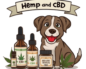 Hemp and CBD - Dogtraining101 Retail Dog Super Store