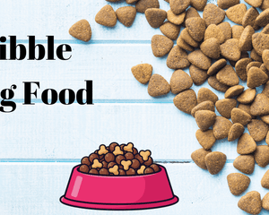 Kibble Dog Food - Dogtraining101 Retail Dog Super Store