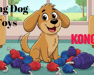 Kong Toys - Dogtraining101 Retail Dog Super Store