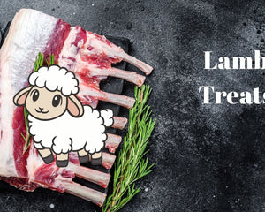 Lamb Treats - Dogtraining101 Retail Dog Super Store