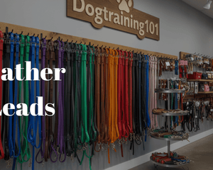 Leather Leads - Dogtraining101 Retail Dog Super Store