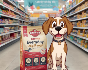 Lifewise Everyday Range - Dogtraining101 Retail Dog Super Store