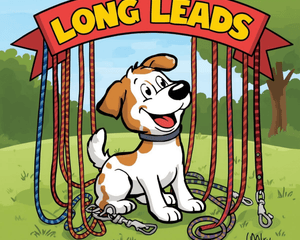 Long Lead Range - Dogtraining101 Retail Dog Super Store