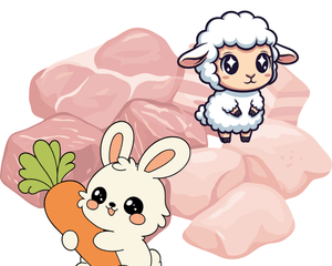 Rabbit and Lamb - Dogtraining101 Retail Dog Super Store