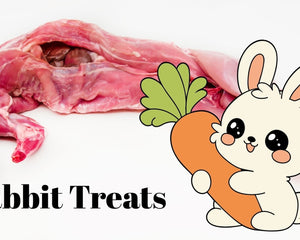 Rabbit Treats - Dogtraining101 Retail Dog Super Store