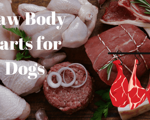 Raw Frozen Body Parts for Dogs - Dogtraining101 Retail Dog Super Store