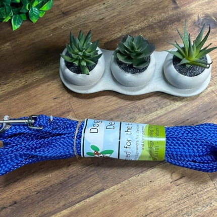 Dogtraining101 10M Flat Lead     **Discontinued**