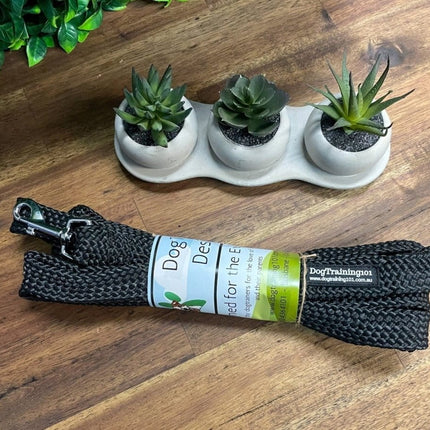 Dogtraining101 15M Flat Lead    **Discontinued**
