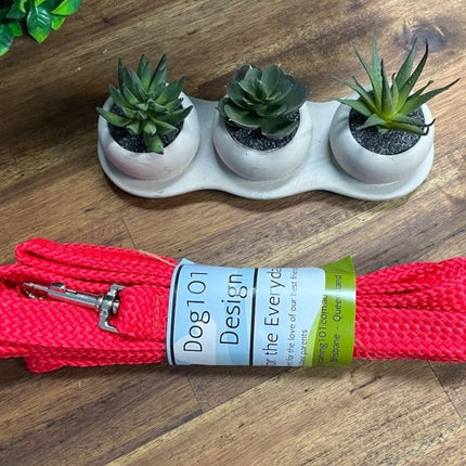 Dogtraining101 15M Flat Lead    **Discontinued**