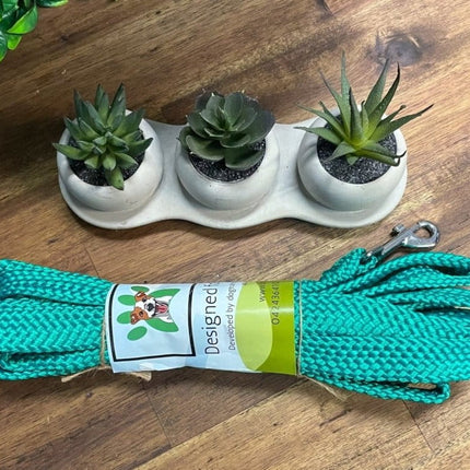 Dogtraining101 20M Flat Lead   **Discontinued**