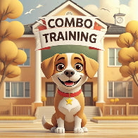 (9) Combo Training