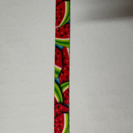 Dogtraining101 Retail Dog Super Store Webbing - Watermelon- 15mm