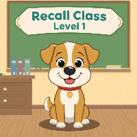 (3) Recall Level 1