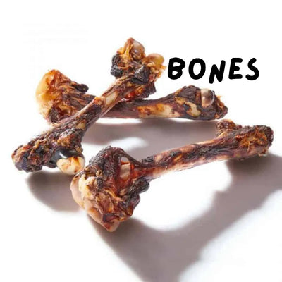 Kangaroo Bones