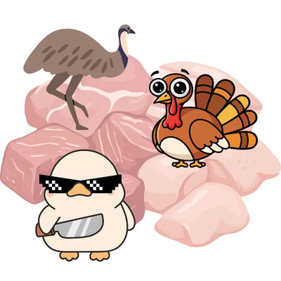 (5) Turkey, Duck, Emu