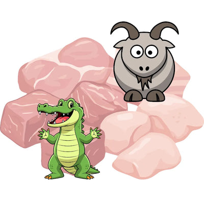 (3) Crocodile and Goat