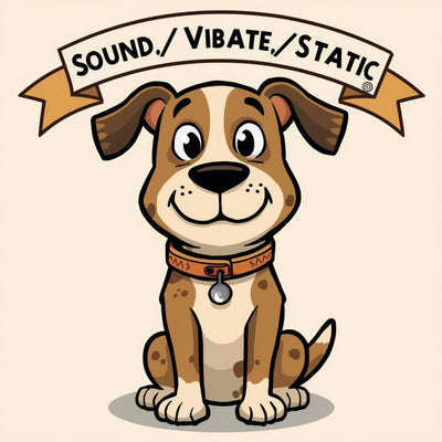 Remote Sound Vibrate Static