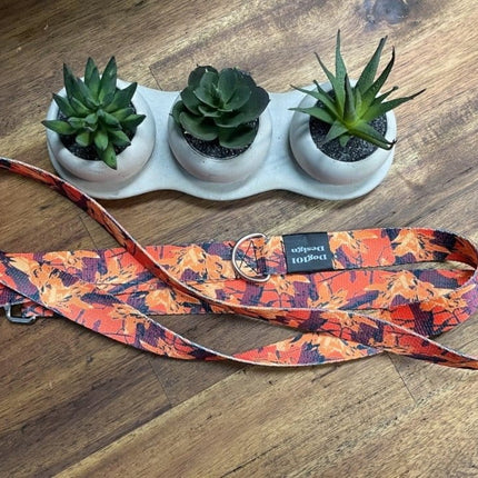 Dogtraining101 Silver Adult Dog Fancy Autumn 1.5m x 25mm Lead