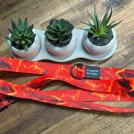 Dogtraining101 Black Adult Dog Fancy Flame 1.5m x 25mm Lead