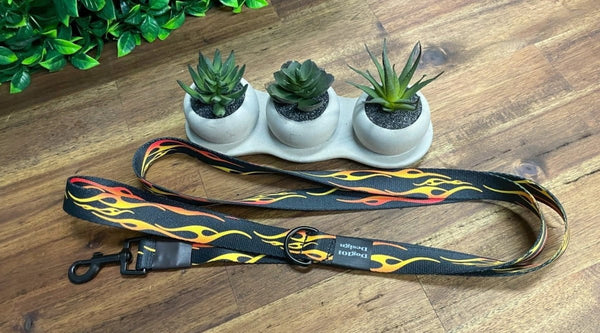 Dogtraining101 Black Adult Dog Fancy Hot Rod 1.5m x 25mm Lead