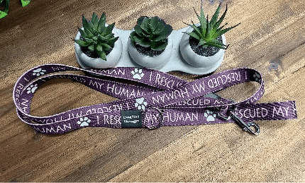 Dogtraining101 Black Adult Dog Fancy I Rescued My Human 1.5m x 25mm Lead
