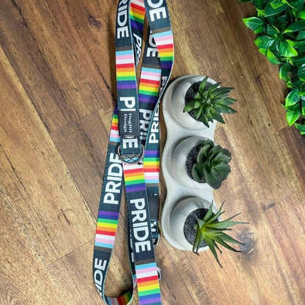 Dogtraining101 Black Adult Dog Fancy Pride 1.5m x 25mm Lead