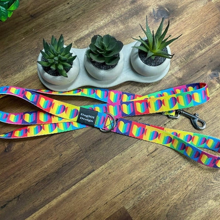 Dogtraining101 Black Adult Dog Fancy Rainbow Heart 1.5m x 25mm Lead