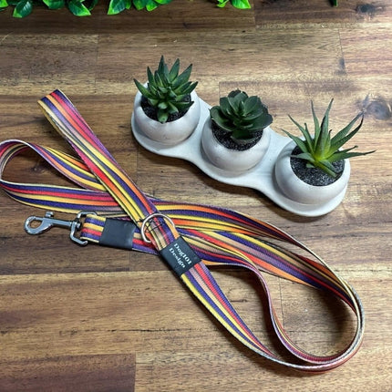 Dogtraining101 Silver Adult Dog Fancy Stripe 1.5m x 25mm Lead