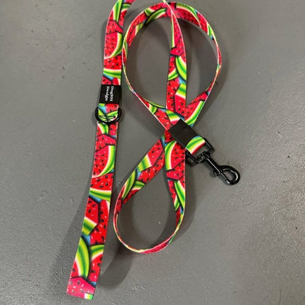 Dogtraining101 Adult Dog Fancy Watermelon 1.5m x 25mm Lead