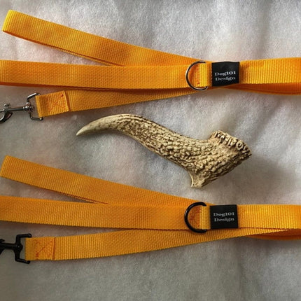 Dogtraining101 Adult Dog Plain Light Orange 1.5m x 25mm Lead