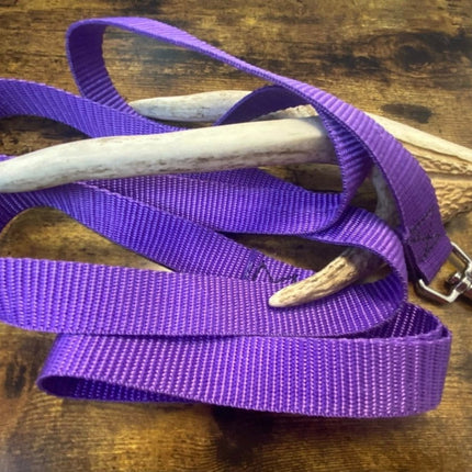 Dogtraining101 Black Adult Dog Plain Purple 1.5m x 25mm Lead