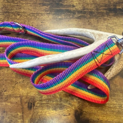 Dogtraining101 Black Adult Dog Plain Rainbow 1.5m x 25mm Lead