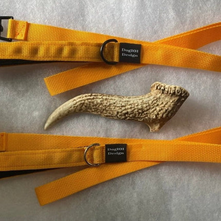 Dogtraining101 Black Adult Dog Premium Handle Plain Light Orange 1.5m x 25mm Lead