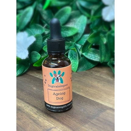 Dogtraining101 Retail Dog Super Store Ageing Dog Hemp Oil 25ml