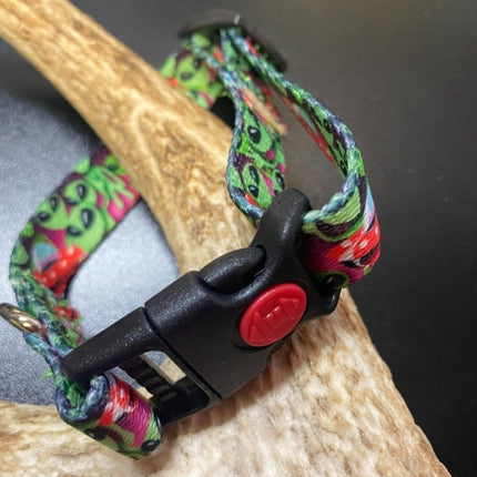 Dogtraining101 Retail Super Store Alien Webbing Collar (Small/Puppy)