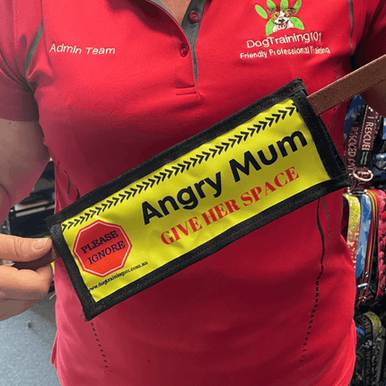 Dogtraining101 Angry Mum - Leash Banner