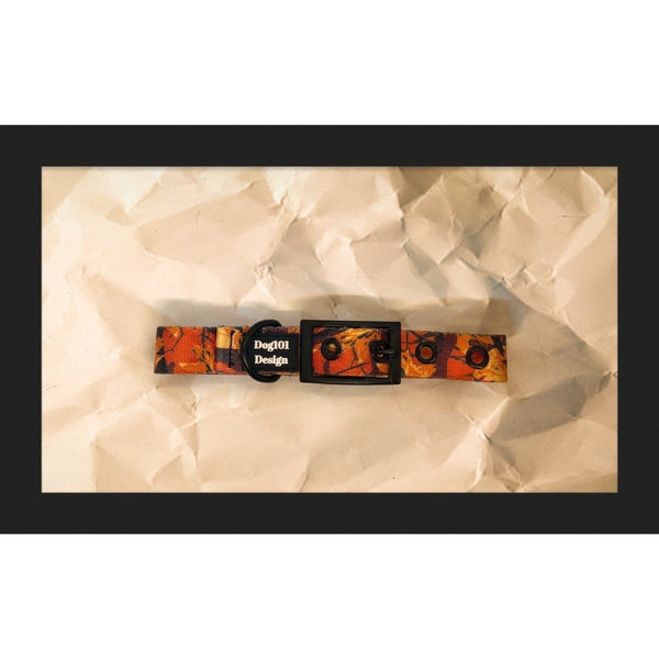 Dogtraining101 Extra Large / Black Autumn Buckle Collar