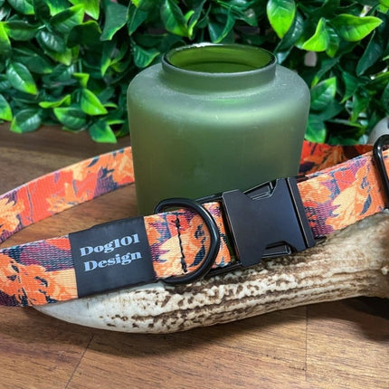 Dogtraining101 Medium / Silver Autumn Metal Clip Collar