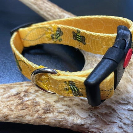 Dogtraining101 Retail Super Store Bee Webbing Collar (Small/Puppy)