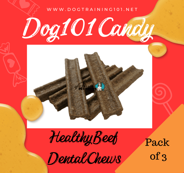 Dogtraining101 Beef Dental Chews 3pack