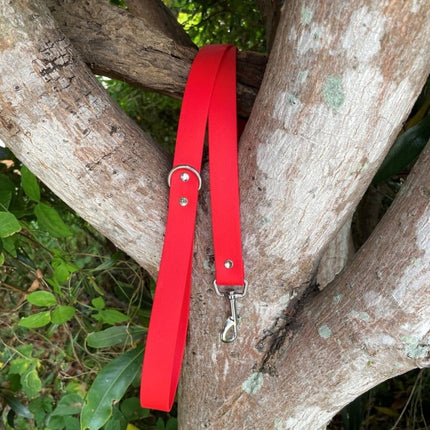 Dogtraining101 Black Biothane Candy Red Lead 1.5M
