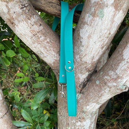 Dogtraining101 Black Biothane Pastel Green Lead 1.5M